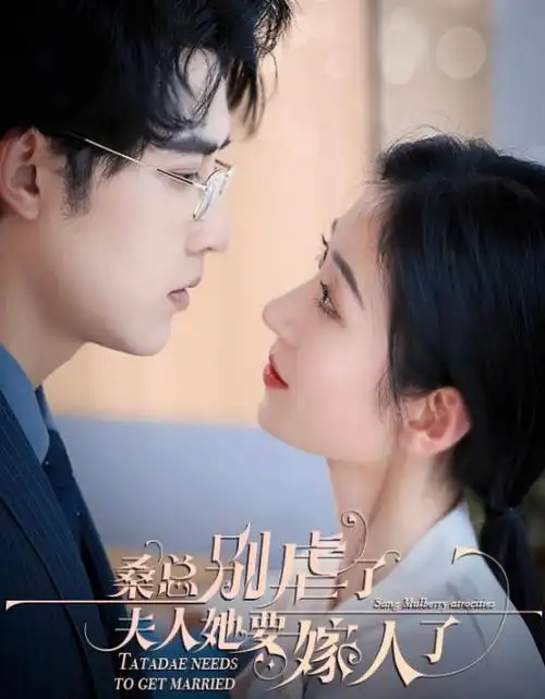 长夜有灯热播电视剧全集手机免费在线观看